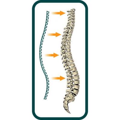 کمربند ضد درد کوزمودیسک  Kosmodisk  بهبود مشکلات کمر و ستون فقرات